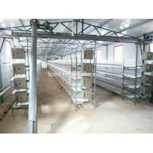 Automatic Broiler cage poultry equipment form Professional manufacturer